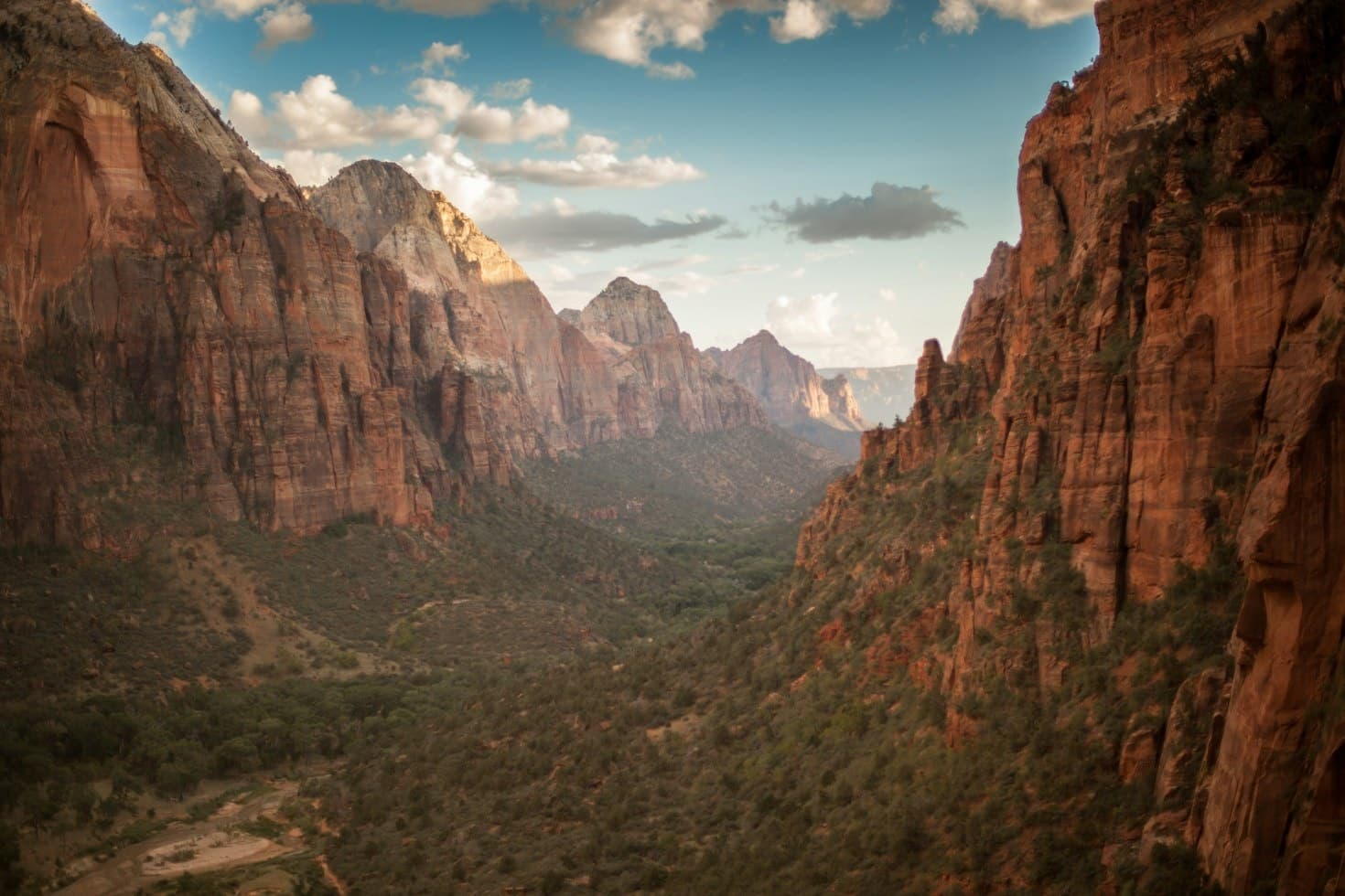 Zion Full Day Private Tour & Hike