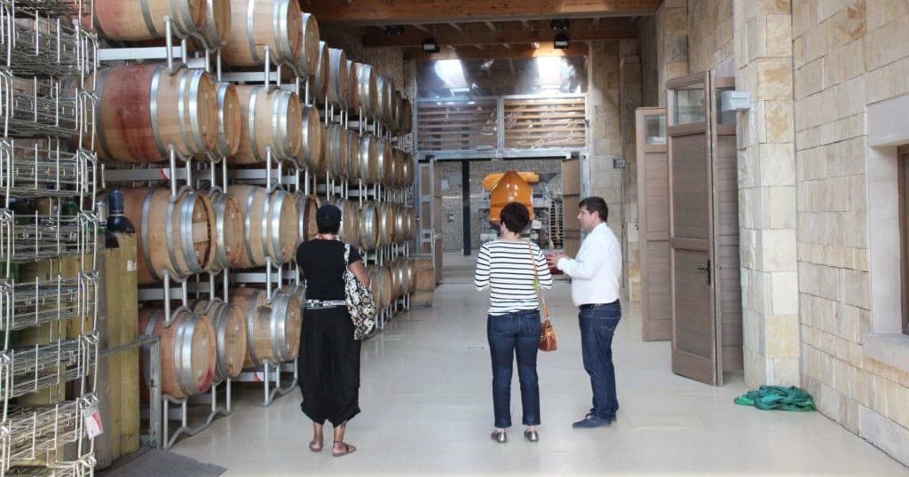 Wine Tour to Villány - Starting in Budapest