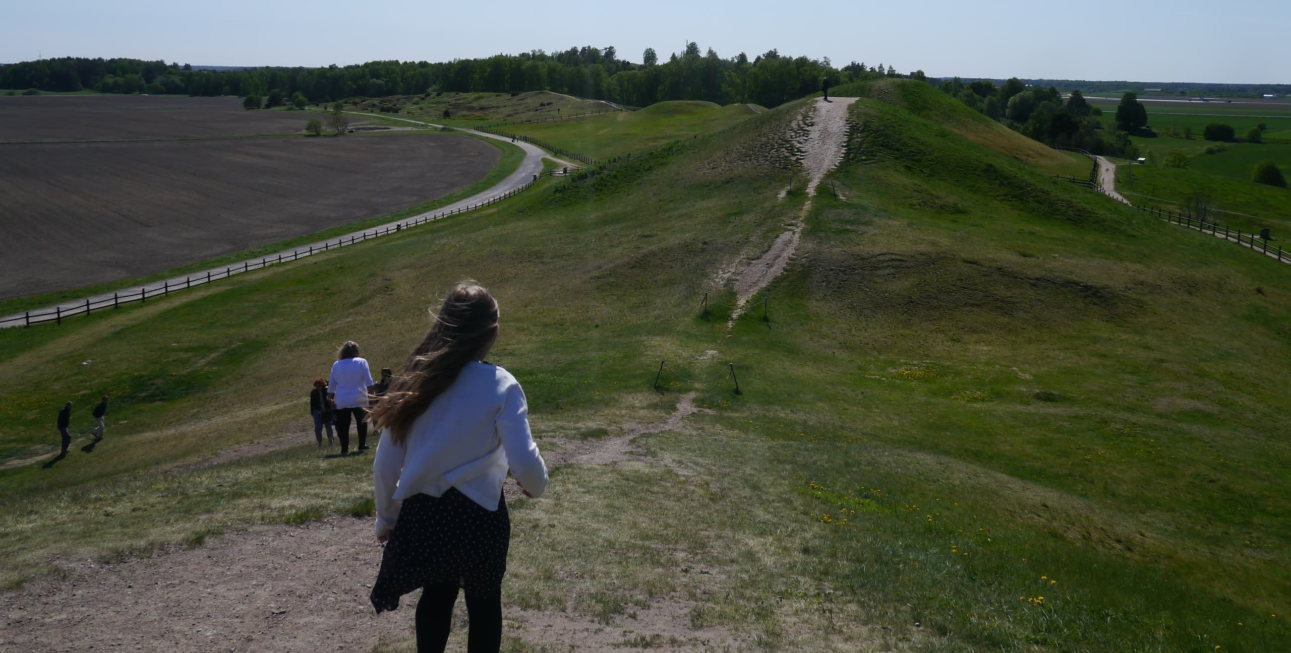 Viking period and Vendel period tour of Old Uppsala, 1.5 h