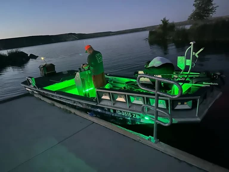 Bow Fishing for Giant Carp