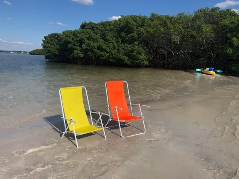 Glass Bottom Kayak Mangrove Tunnel & Sandbar Adventure in St Pete Beach