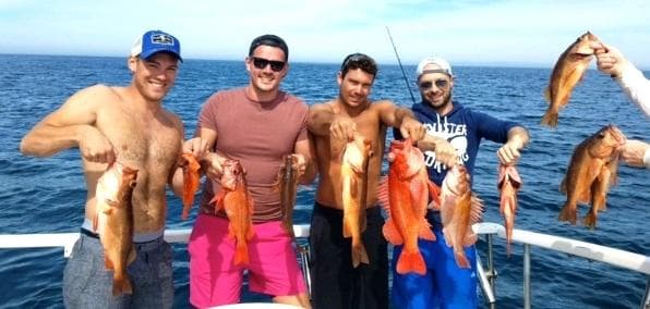 Coletta Sport Fishing - 3/4 Day Local Charter