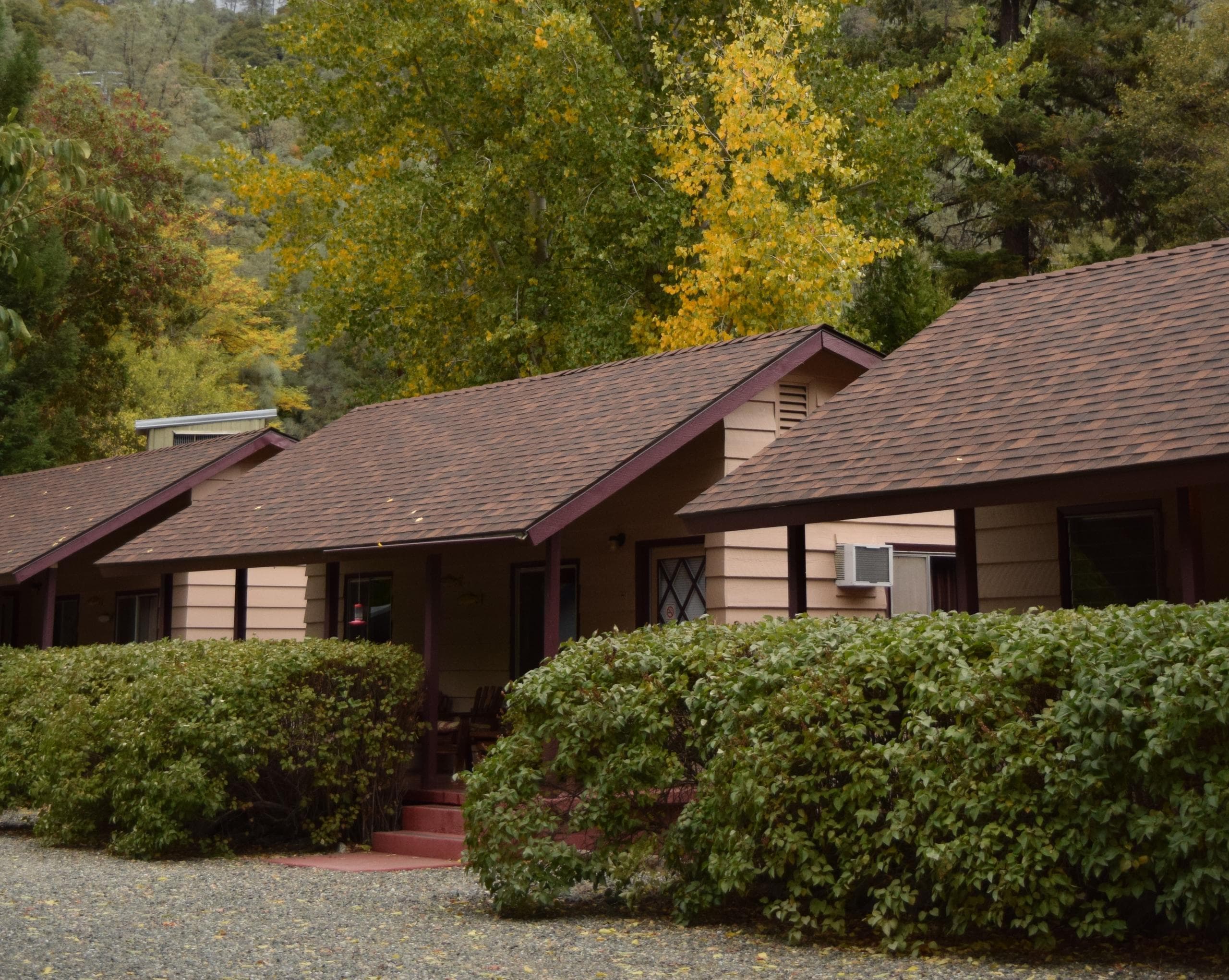Tamarack Cabin