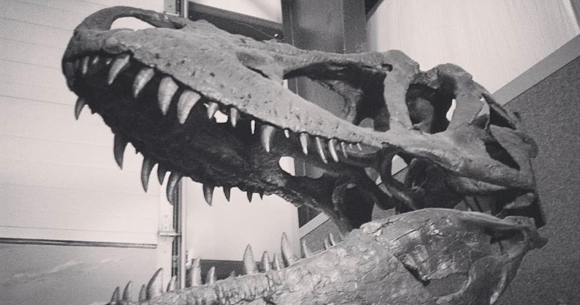 Museum Admission