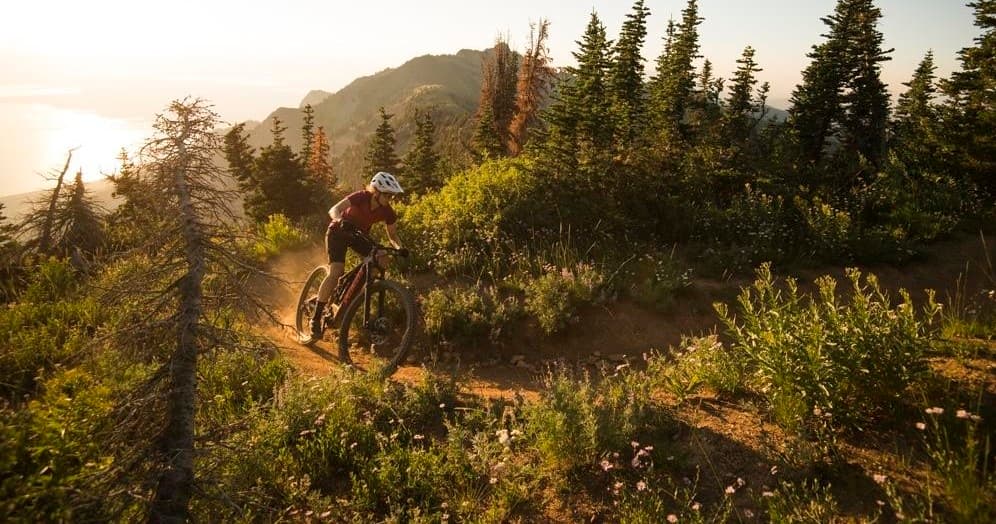 4-Day Mountain Bike Demo | Downtown Napa
