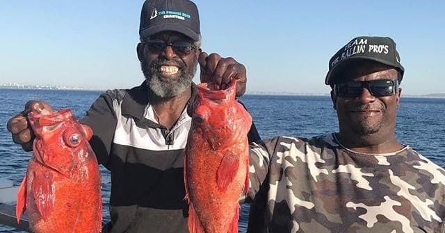 3/4 Day Rockcod and Bottom Fishing Trip