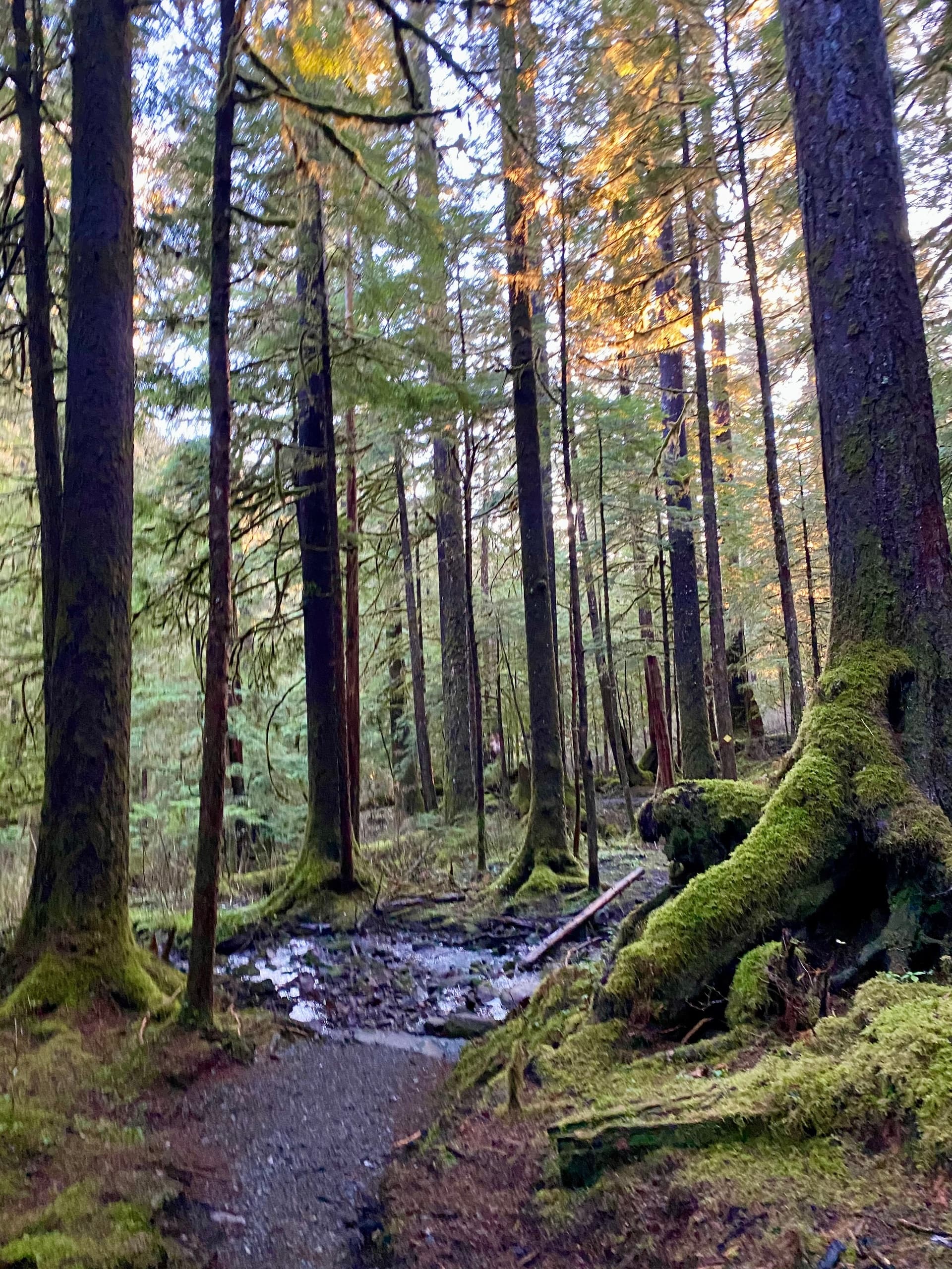 Lunch Creek Trail Hike