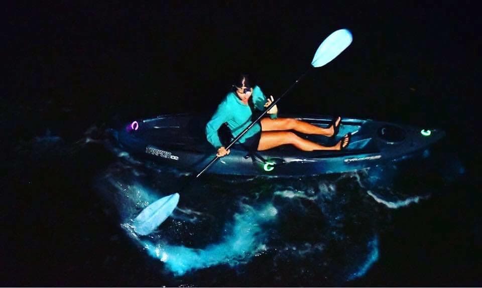 Thousand Islands Bioluminescent Kayak Tour