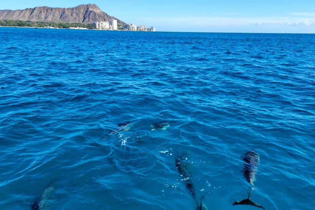 Ride Along / Snorkeling Cruise