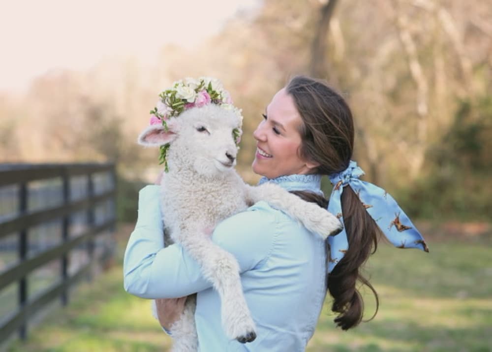 New! Wine Tasting, Lavender and Lambs Tour
