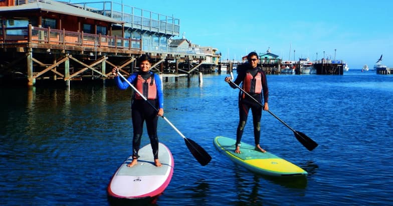 Paddle Board Rental