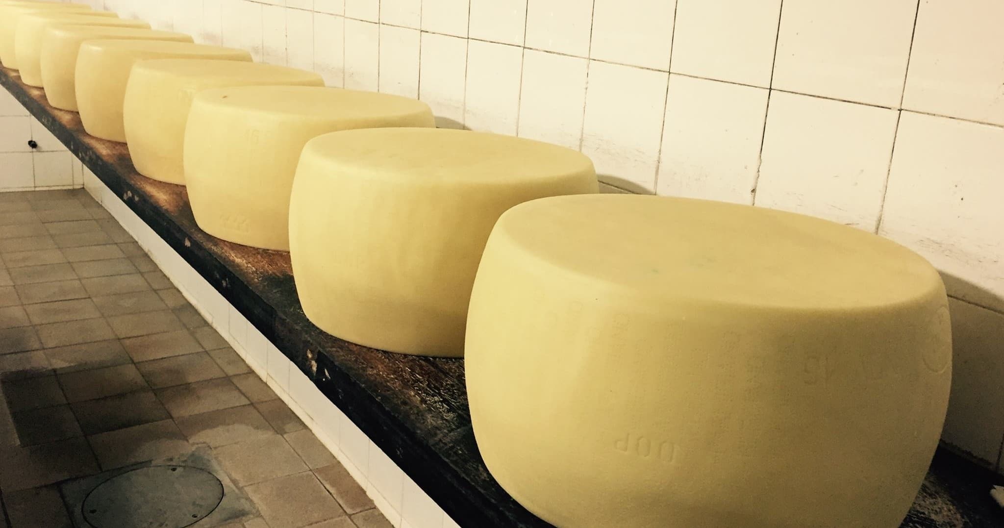 Parmigiano Reggiano Dairy Experience