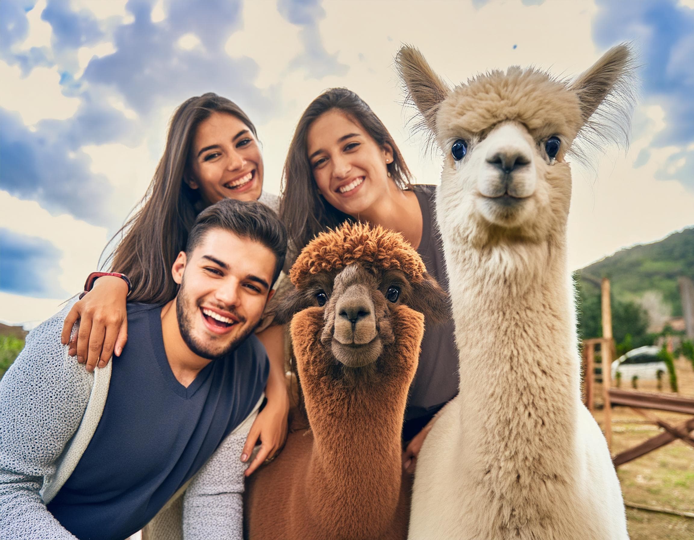 Private Alpaca Trail Walk