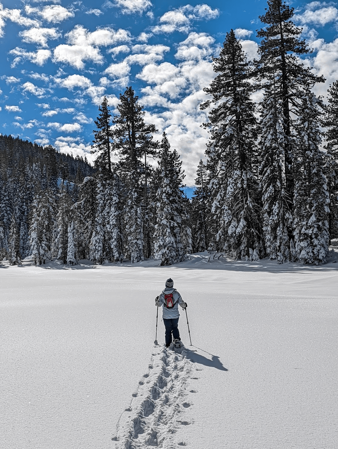 Palisades Loops Snowshoe Rental
