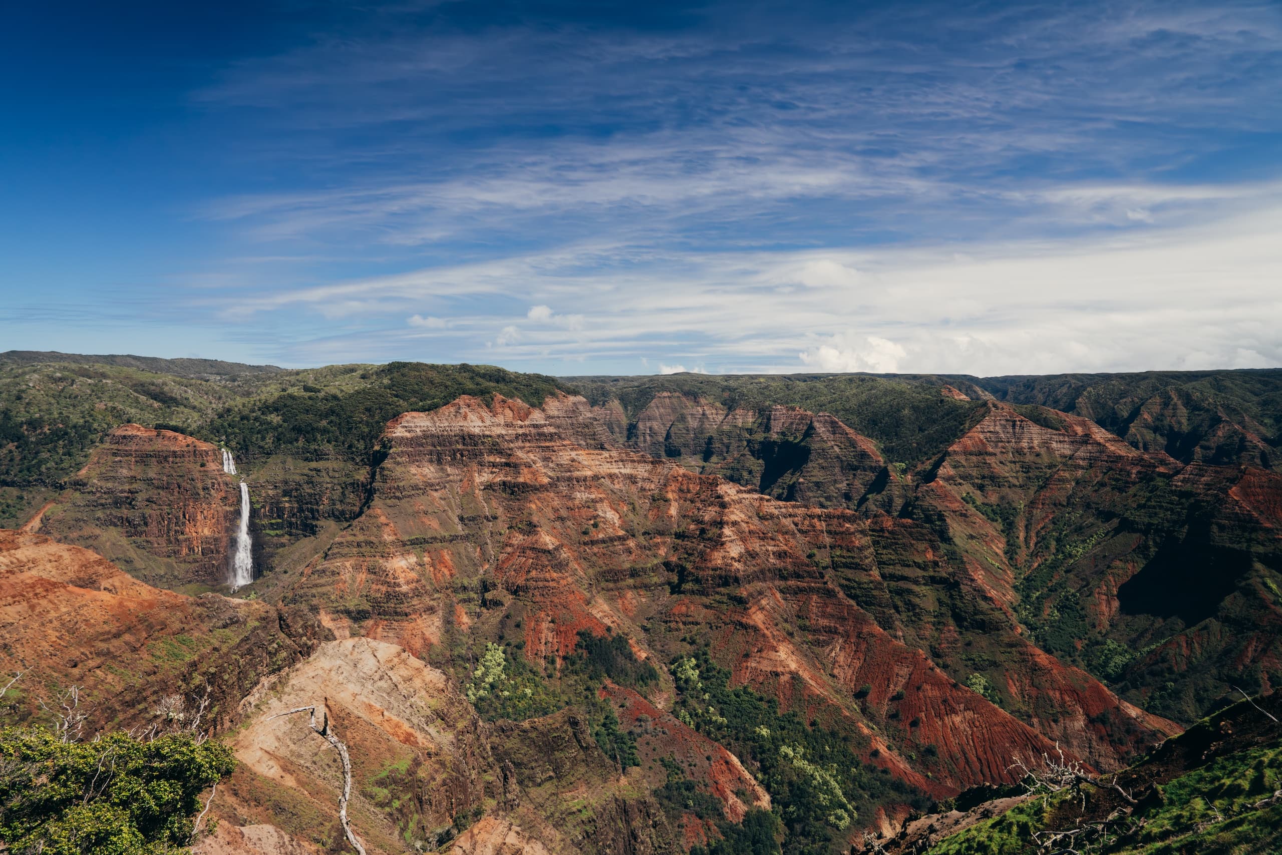 Waimea History Tour