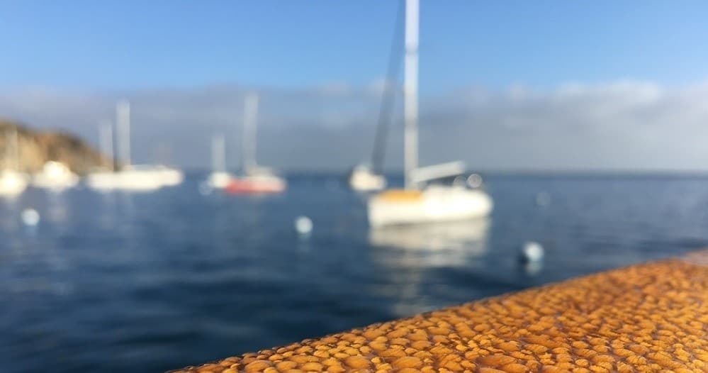 12 Pack Bareboat Charter: Celebration at Sea