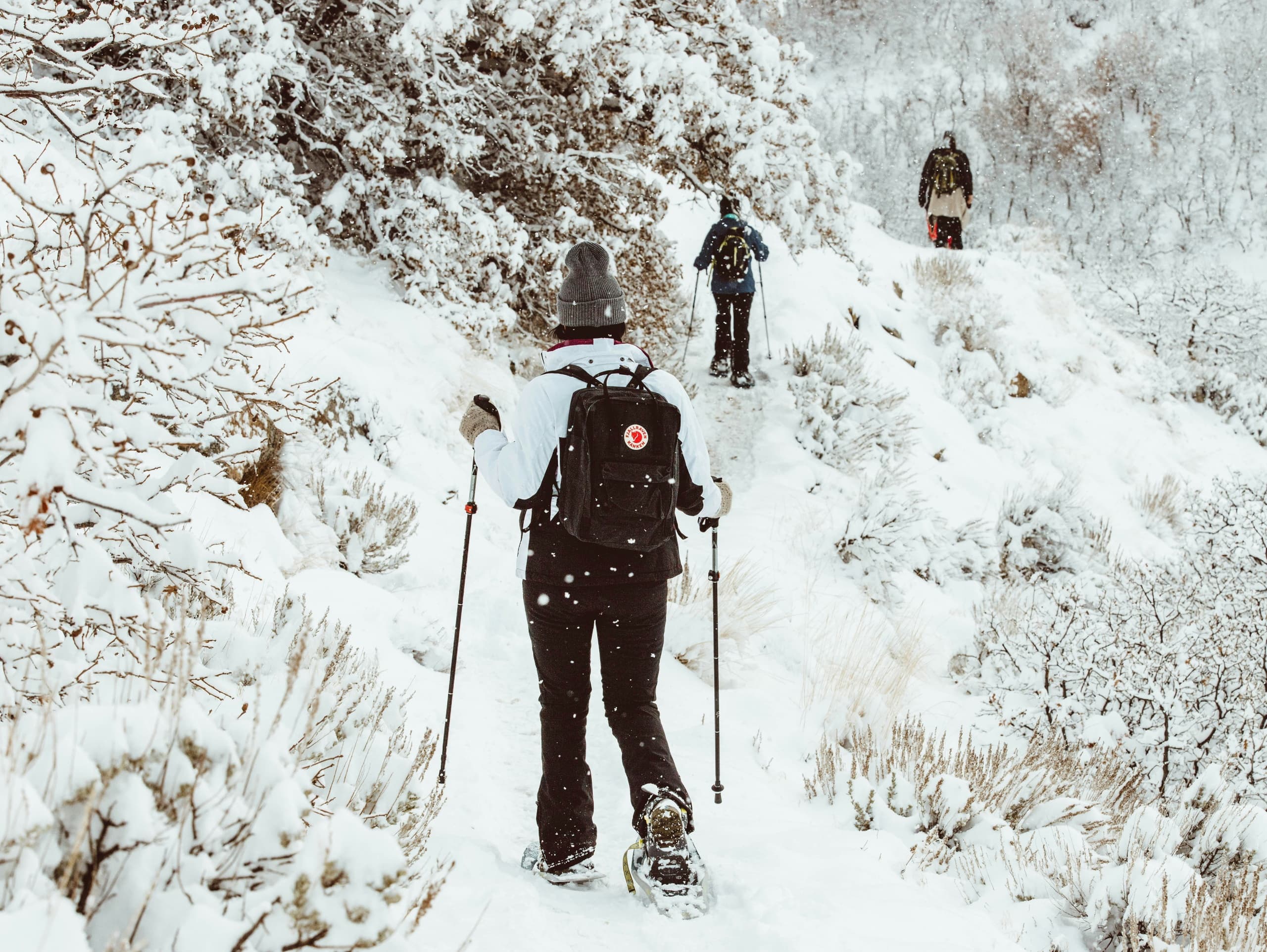 Snowshoe Tour