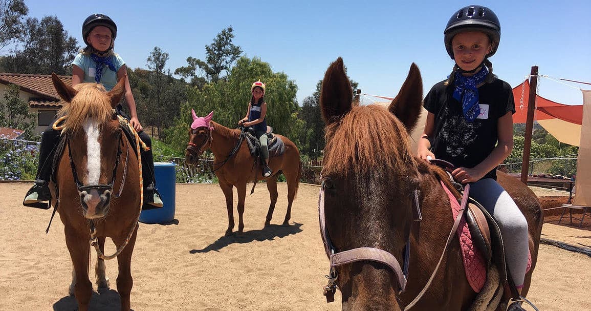Equine Studies of San Diego