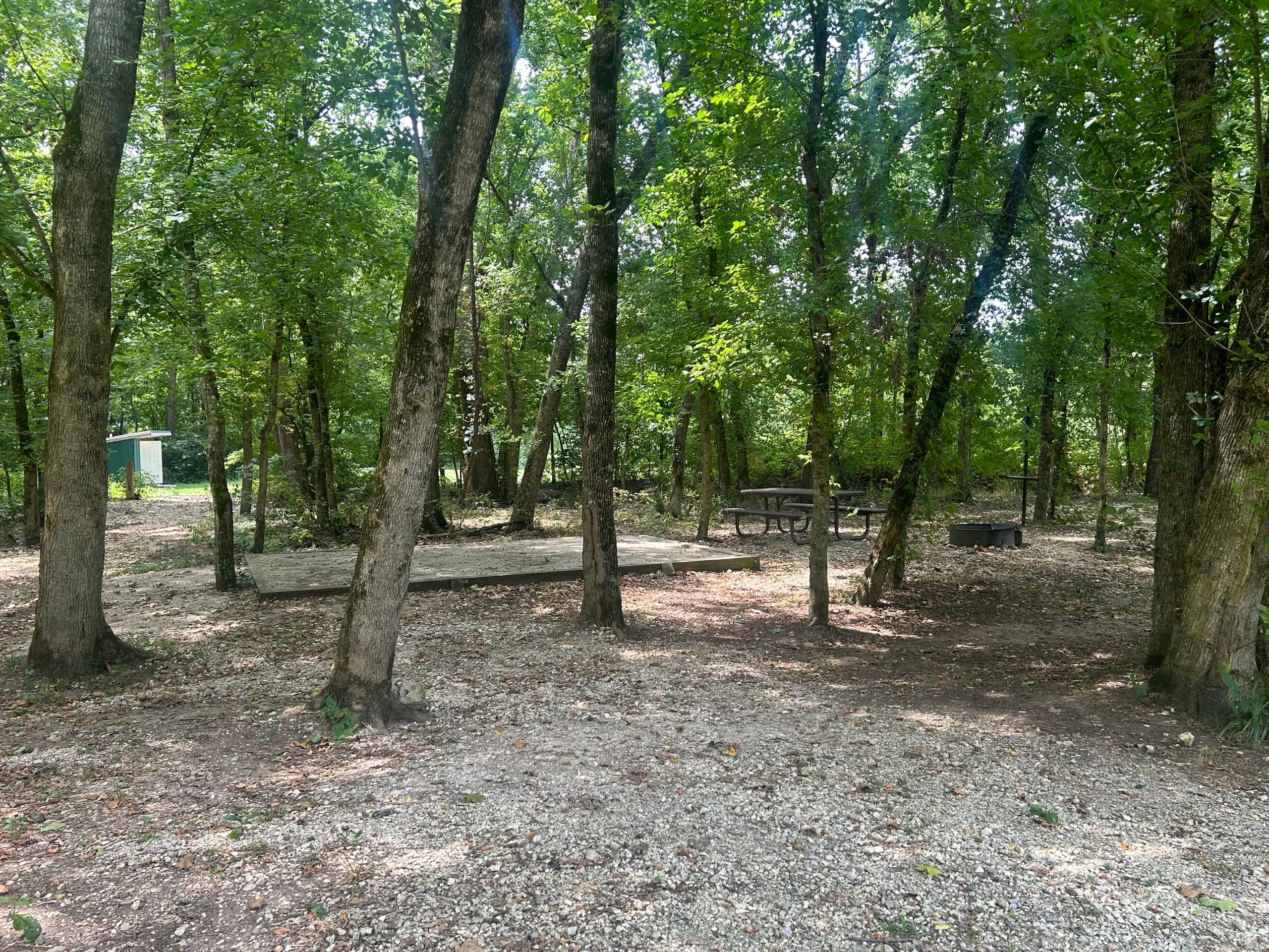 Shady Grove Campsite 8 (SG8)