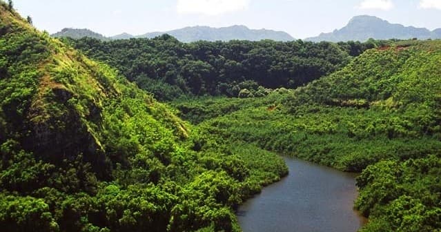Wailua Delivery (Secret Falls)
