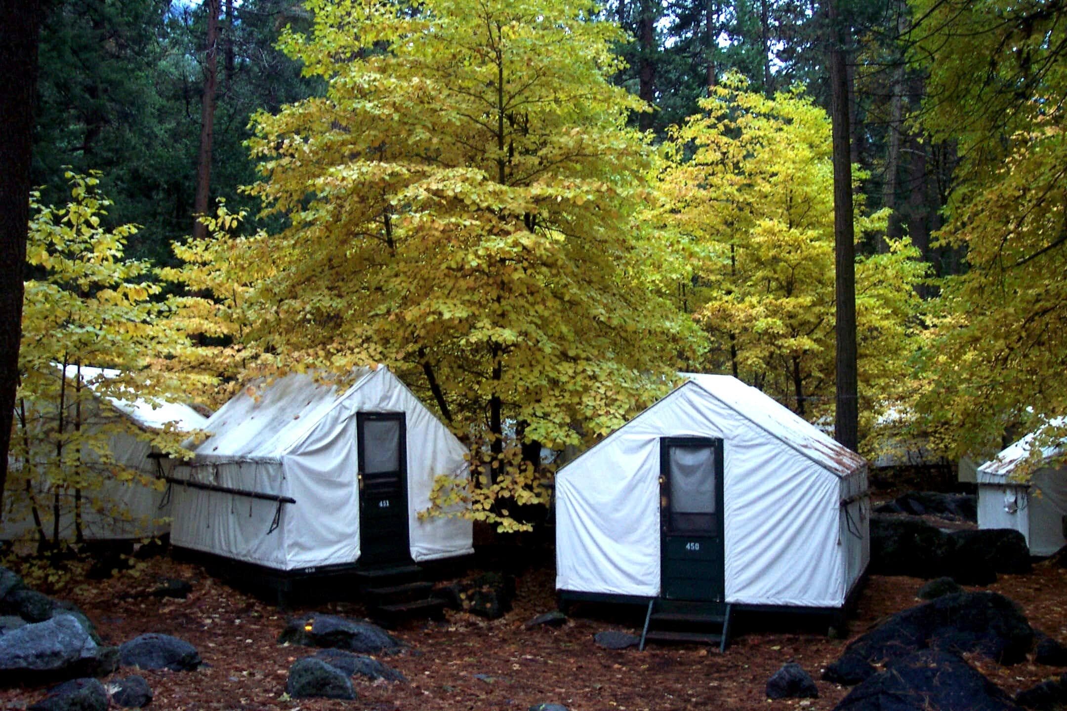 Yosemite Semi-guided Overnight Lodging Tour (2+ Days) | Curry Village Tent Cabin