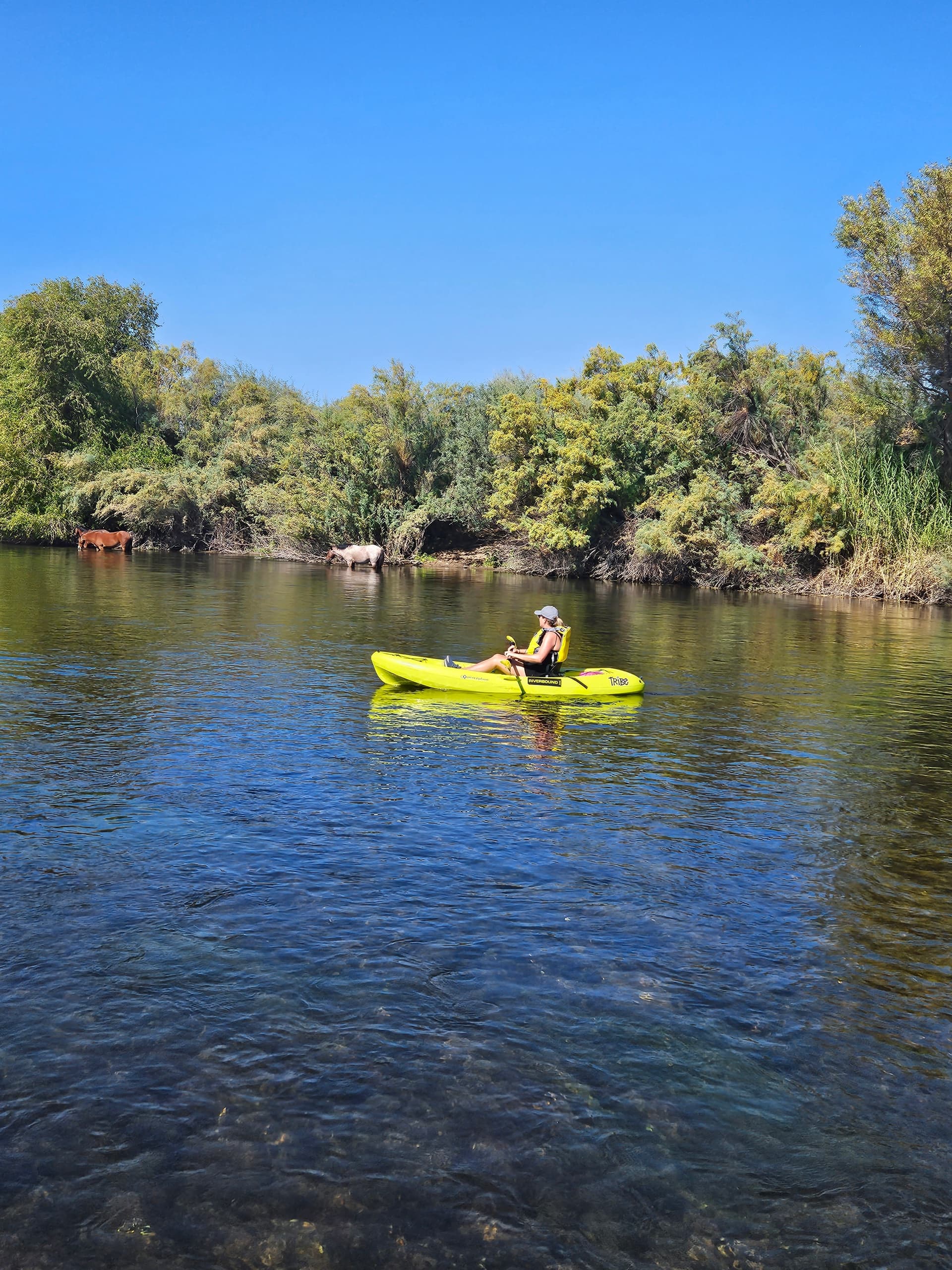 Hard Kayak Rental - One Person