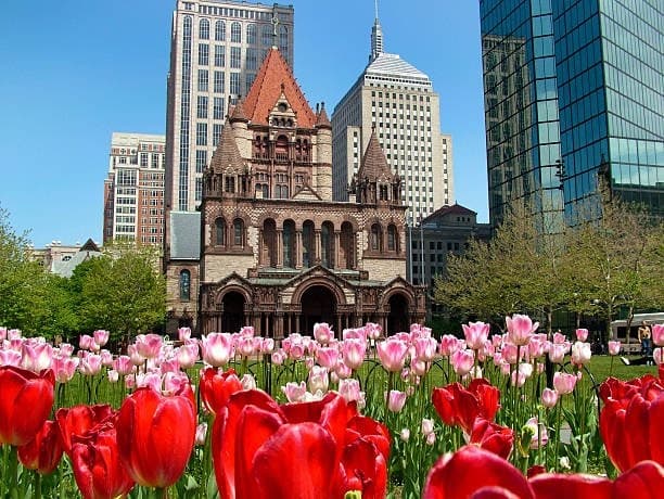 All Day Boston Experience