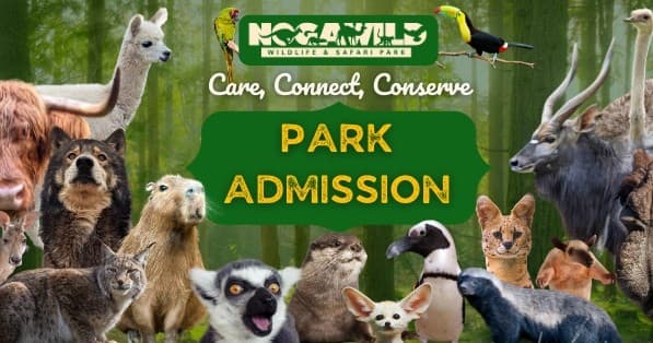 Park Admission