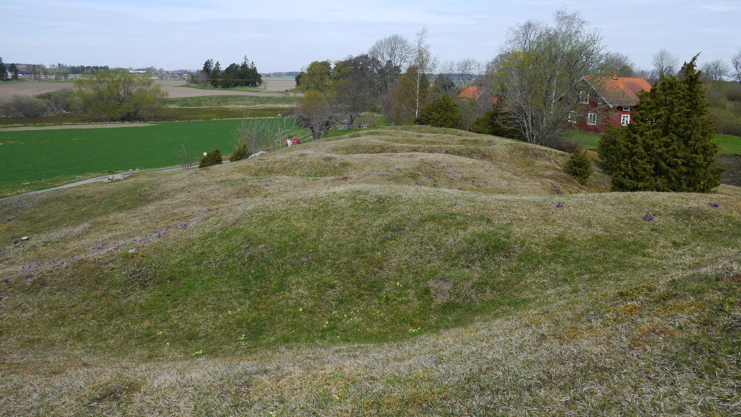 Valsgärde grave field tour - A viking boat burial cemetery 1h