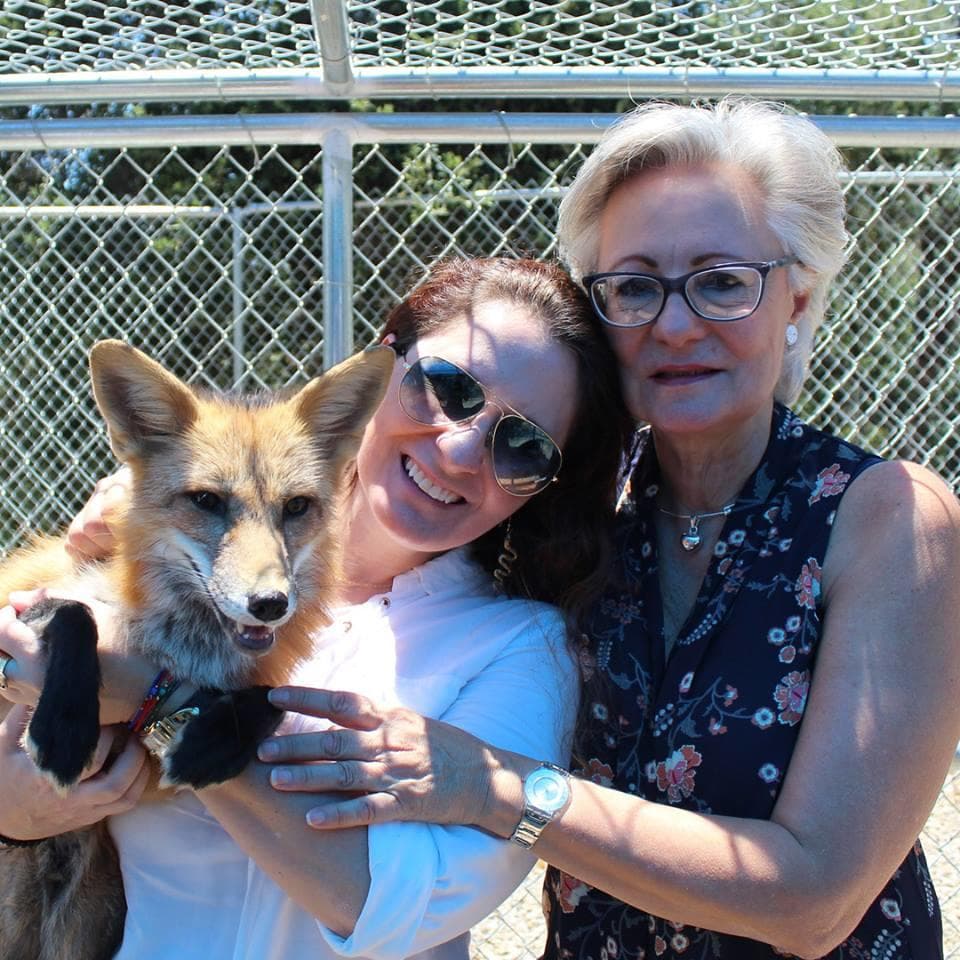 Private Interactive Canid Encounters
