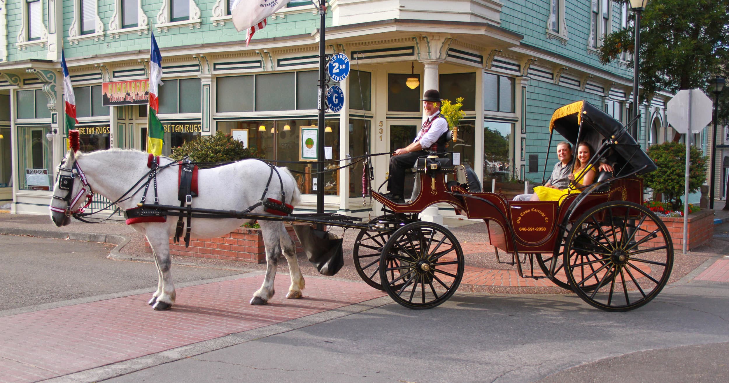 45 Minute Private Carriage Ride