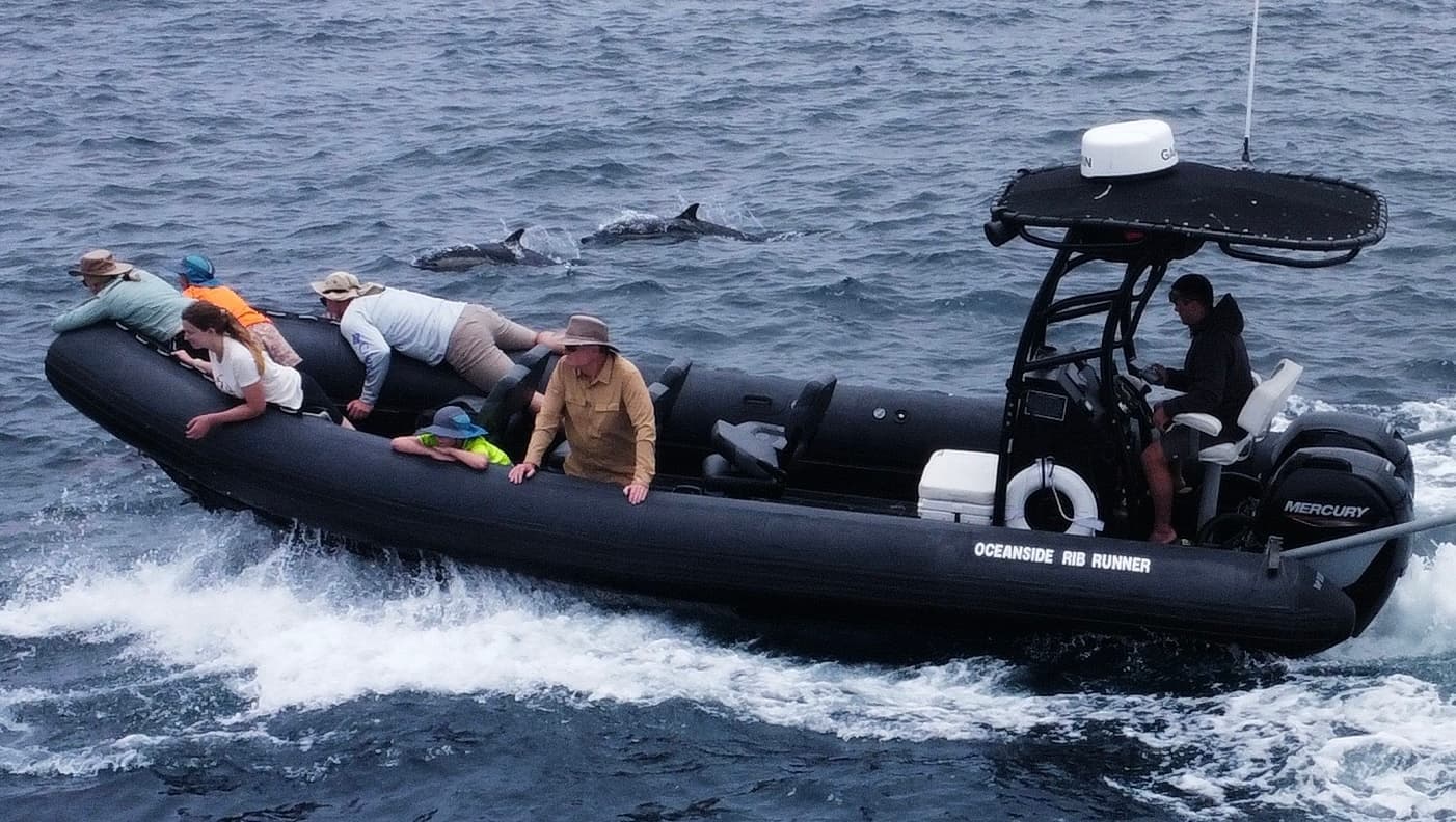 Private Charter