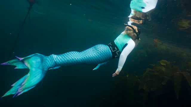 PADI Advanced Mermaid