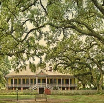 Laura Plantation Tour