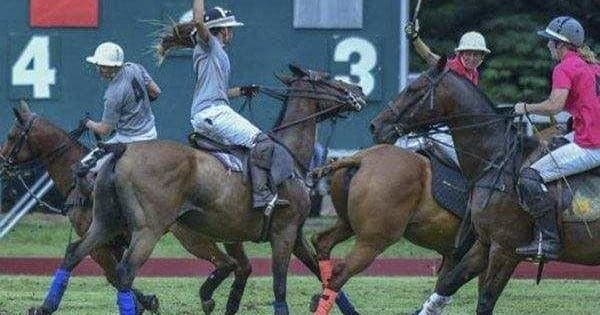 Oahu Polo Game and Private Island Tour from Honolulu