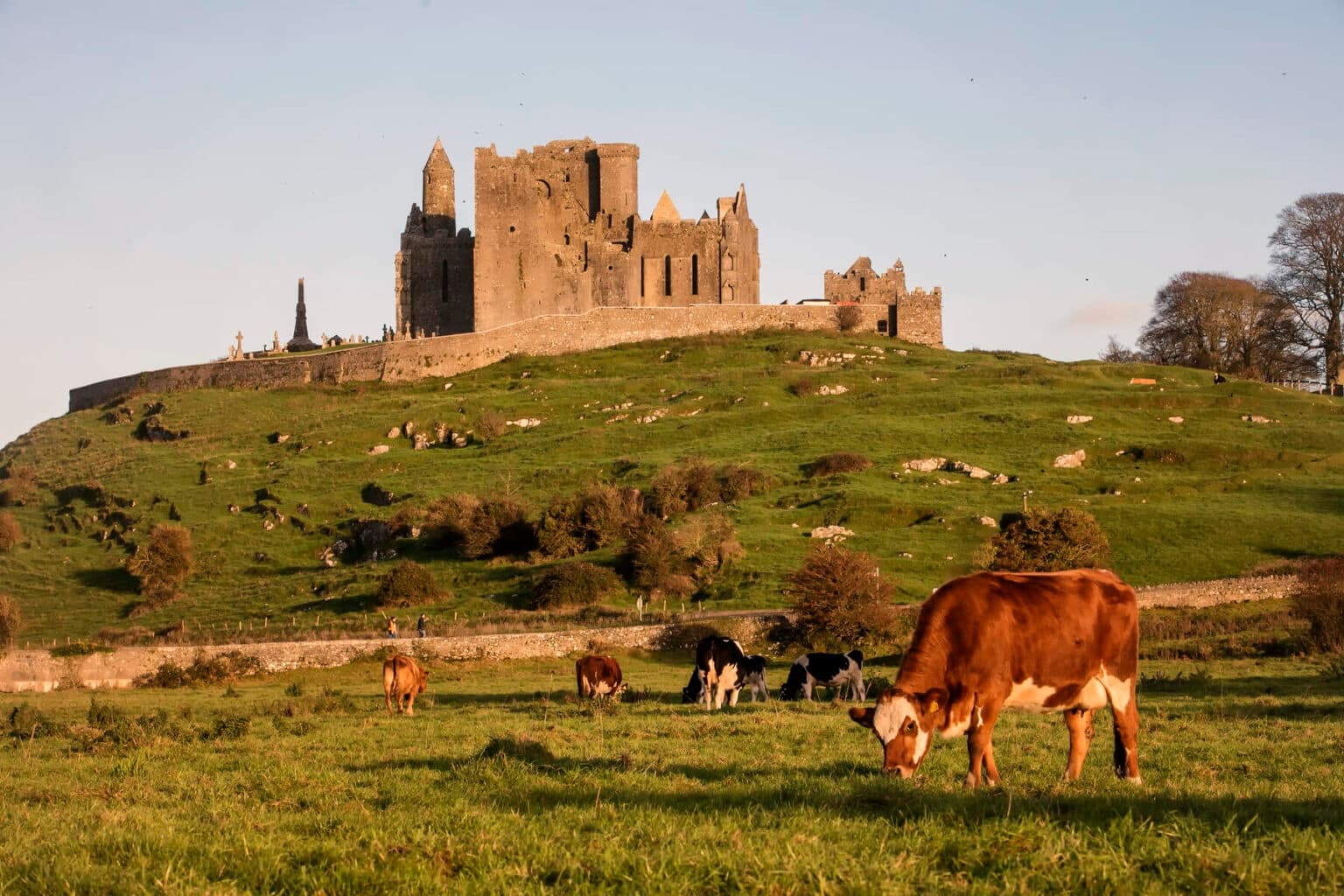 The Rock of Cashel & Medieval Kilkenny