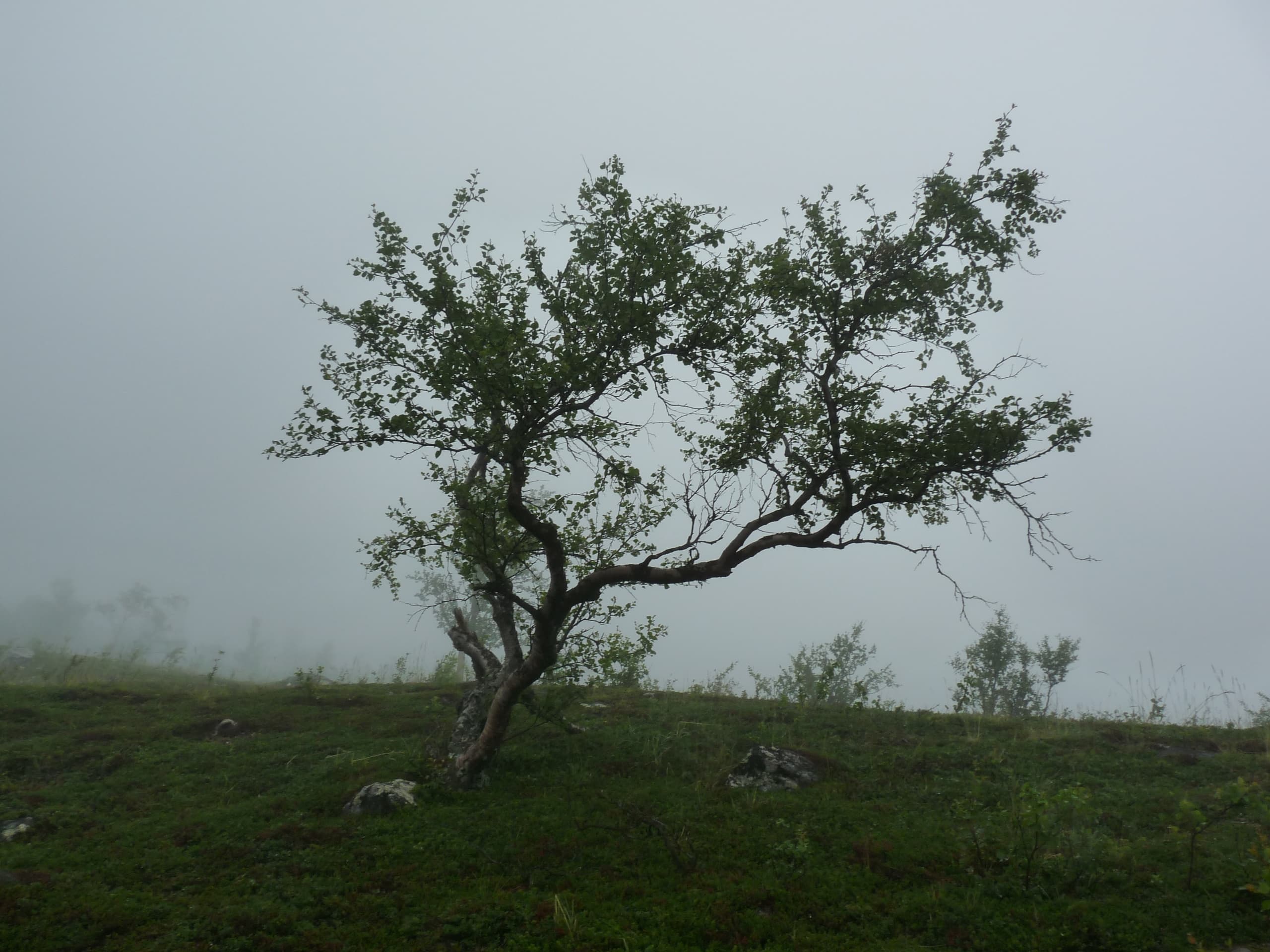 II Uppsala Ghost Walk - Mediaeval horror and dark folklore beliefs 1h