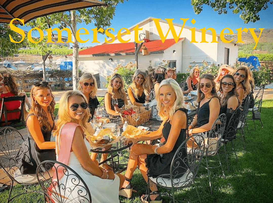 Wine Tour (Daily)