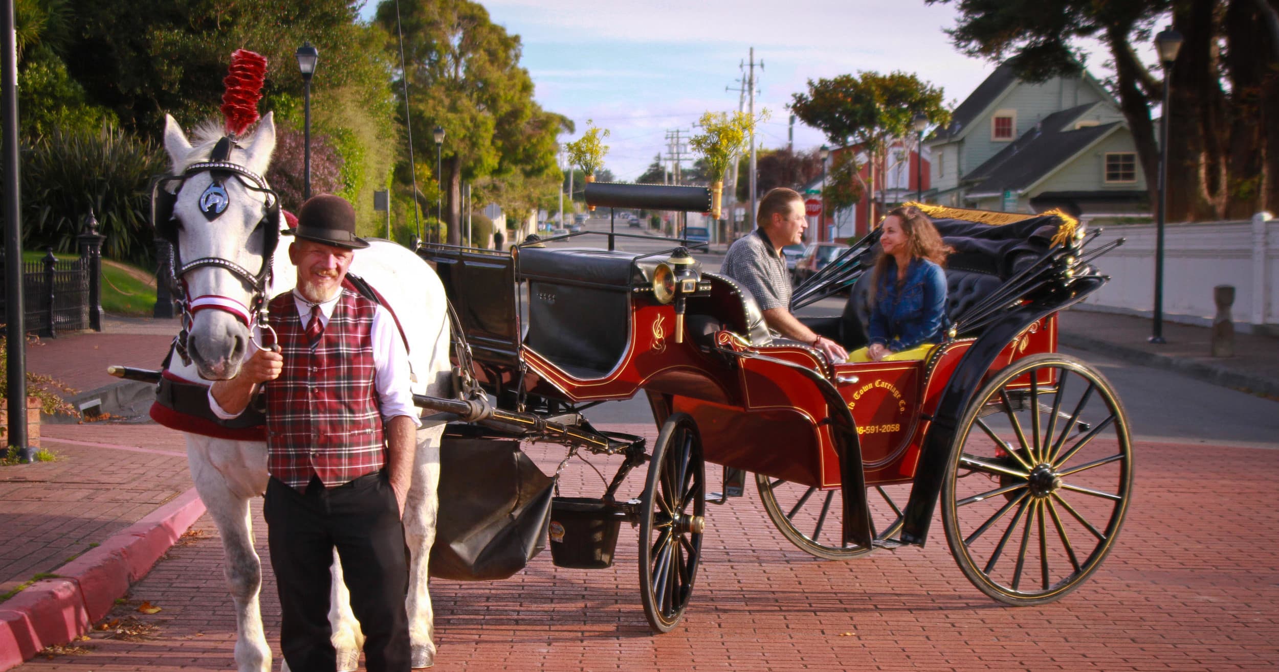 25 Minute Private Carriage Ride