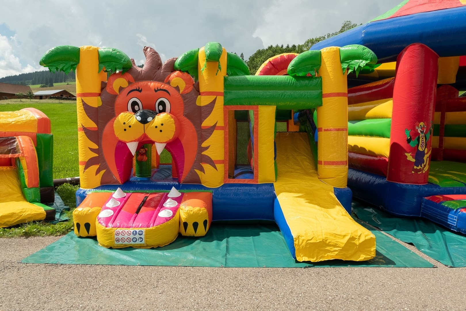 Hüpfburg: Multifun Löwe