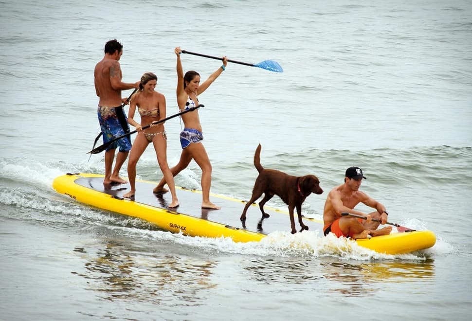 SUP Squatch (Stand Up Paddle Squatch)