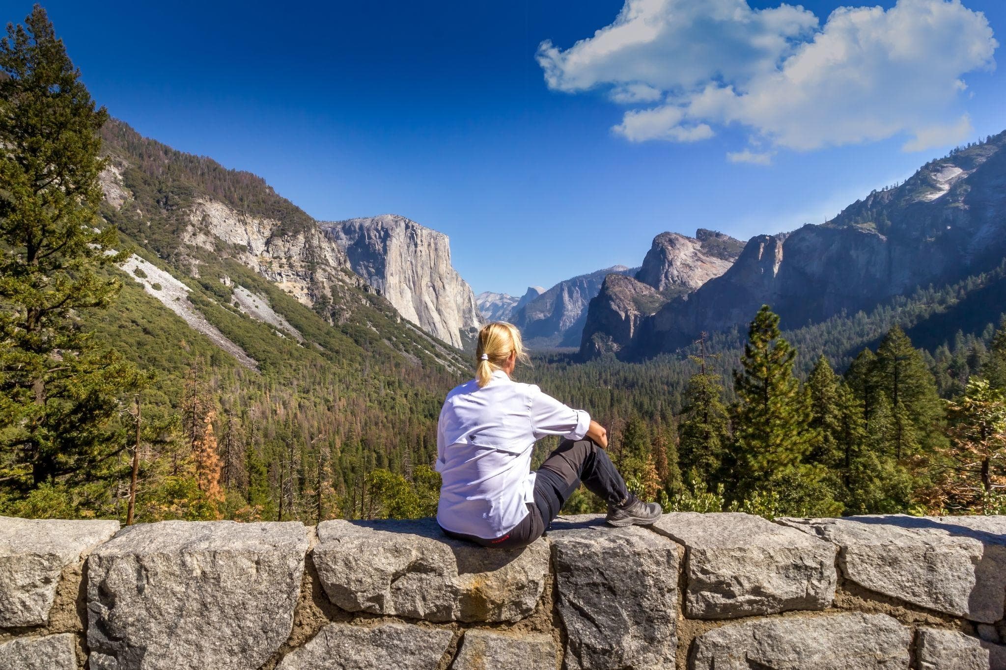 Yosemite and Giant Sequoias One-Day Tour from San Francisco