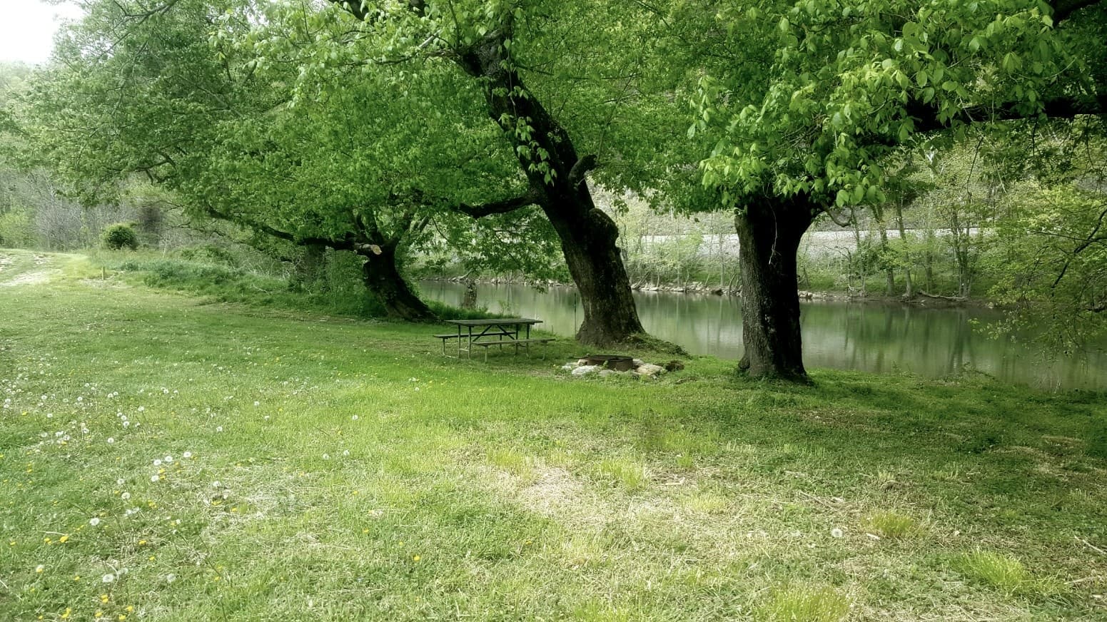Arcadia Campground - Campsite #10  (Old Site # 8)
