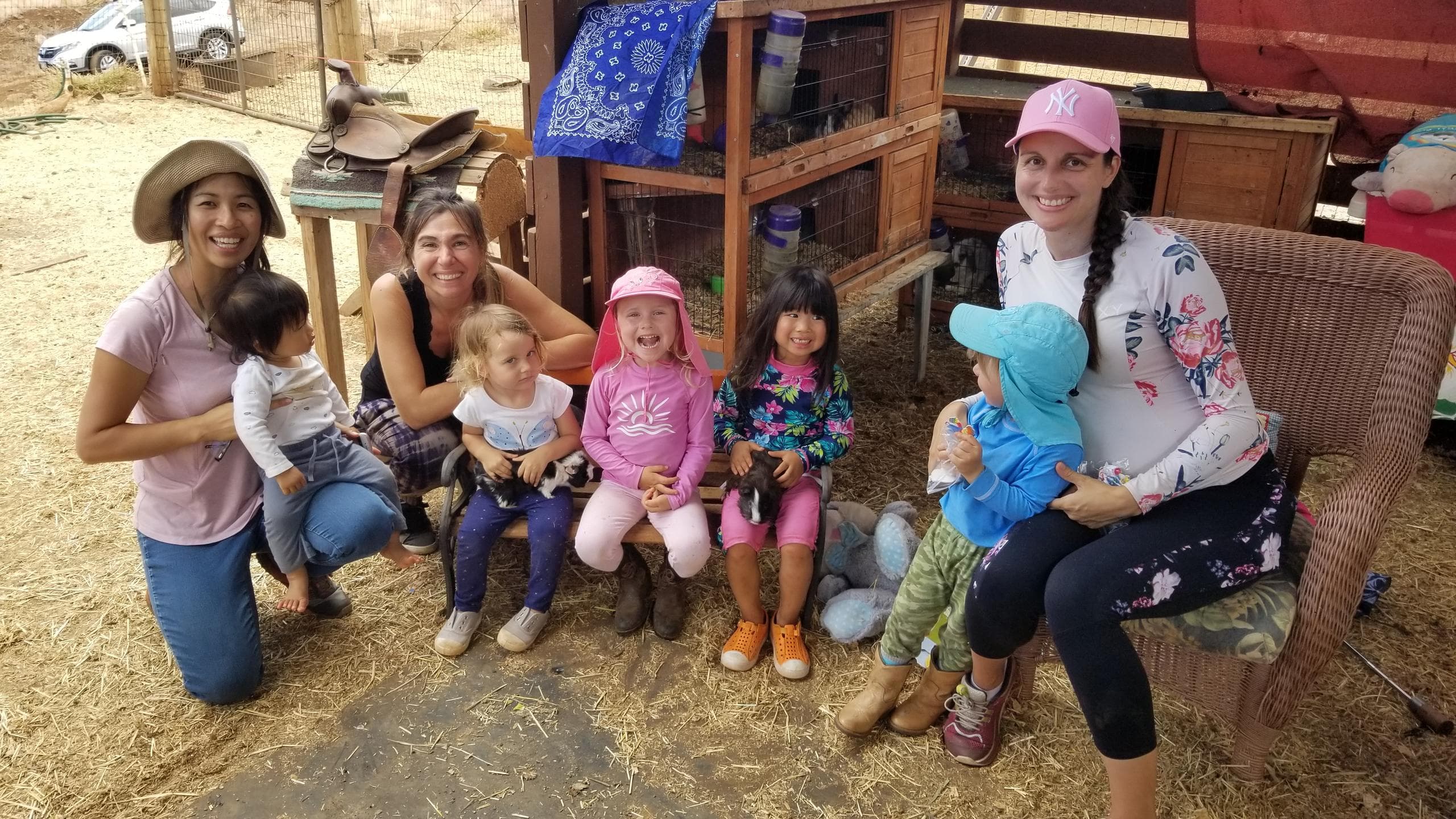 Petting Zoo Tour