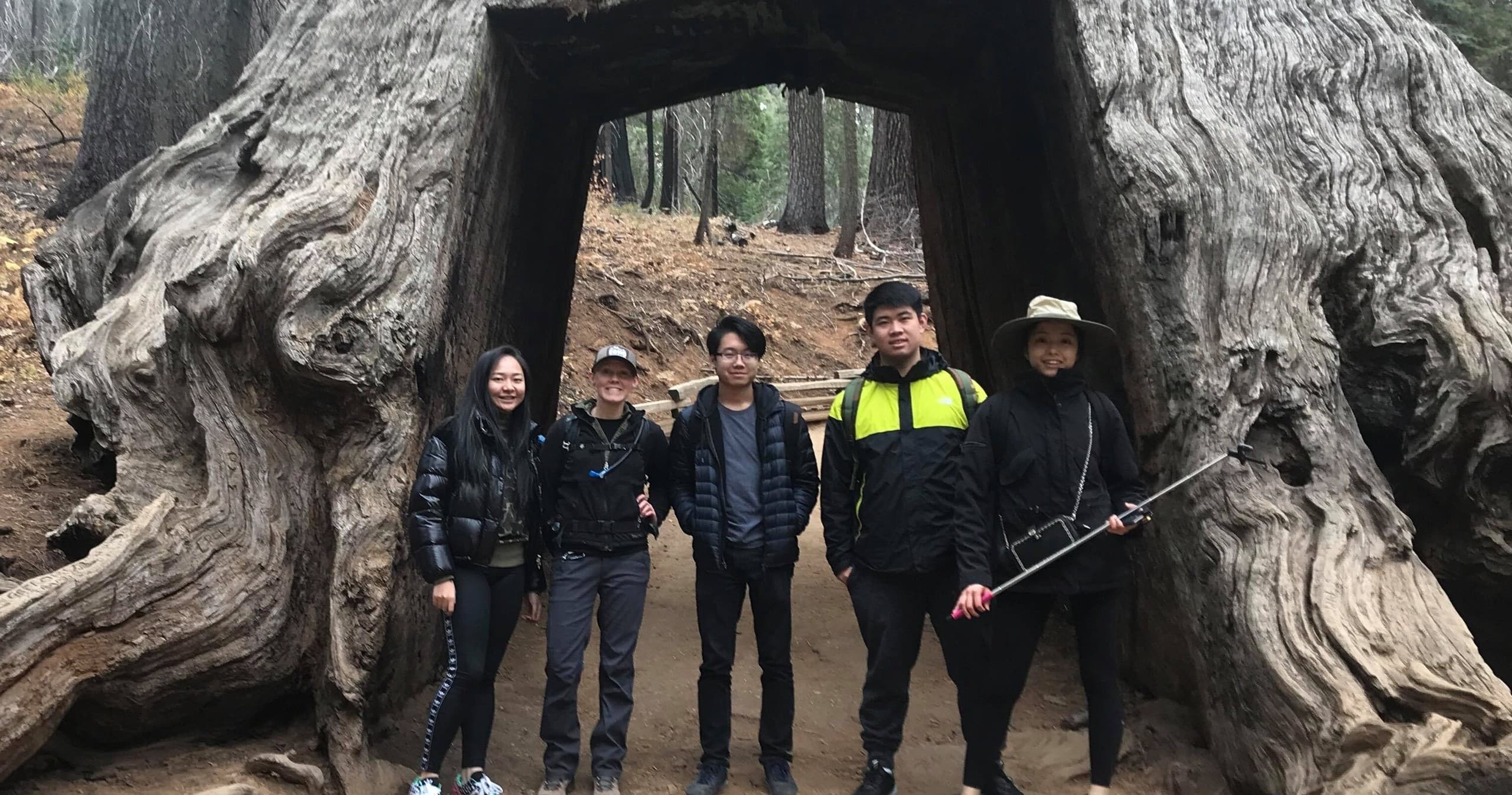 Big Trees Hike & Riverside Cookout Adventure