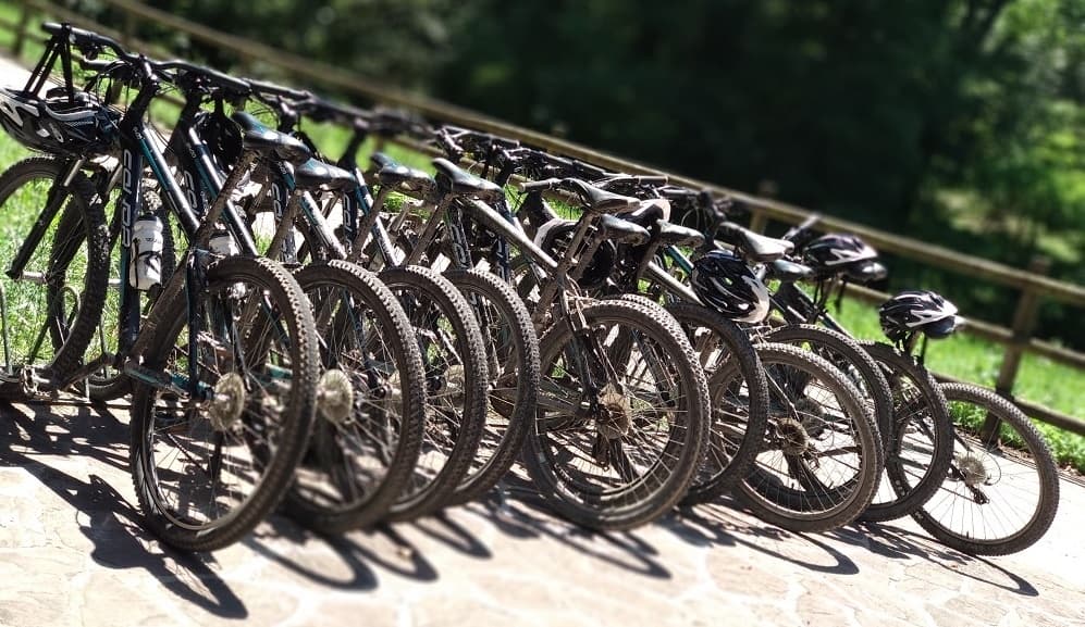 M • BTT Adultos