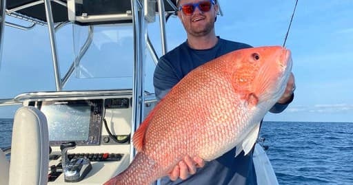 Inshore or Offshore