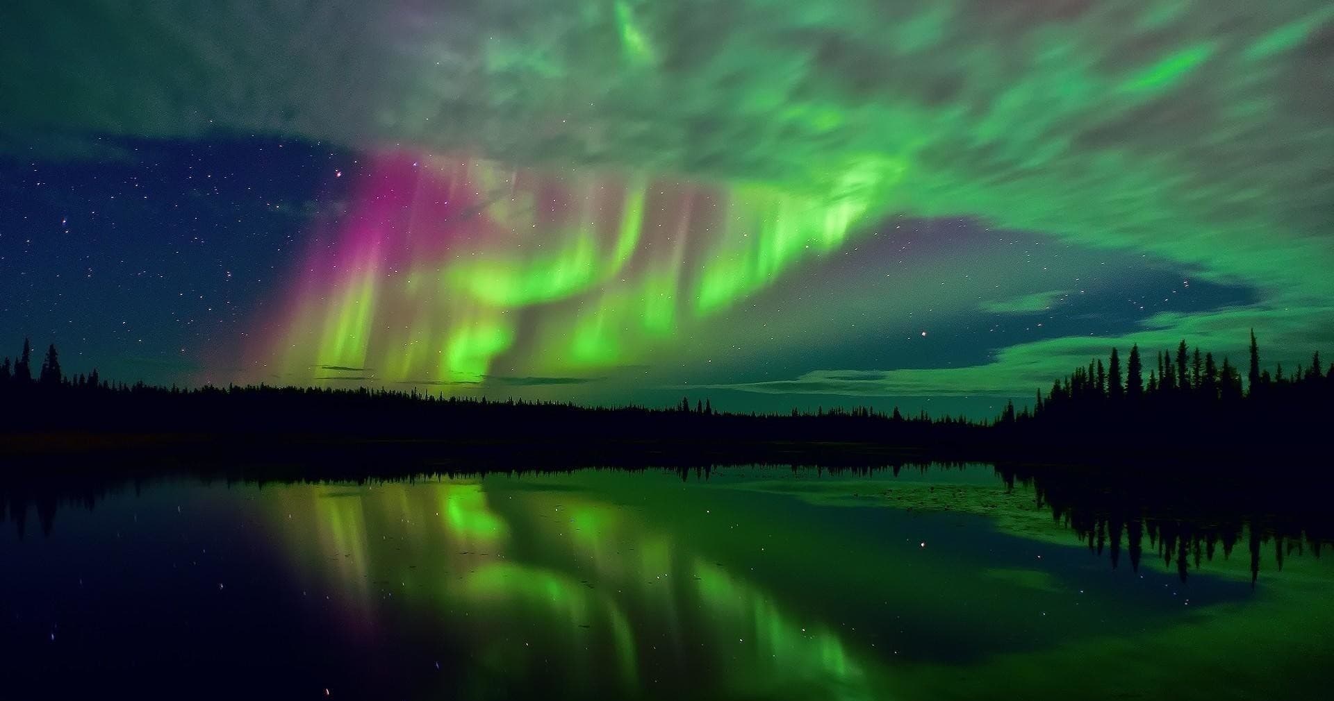Northern Lights Sleddog Tour