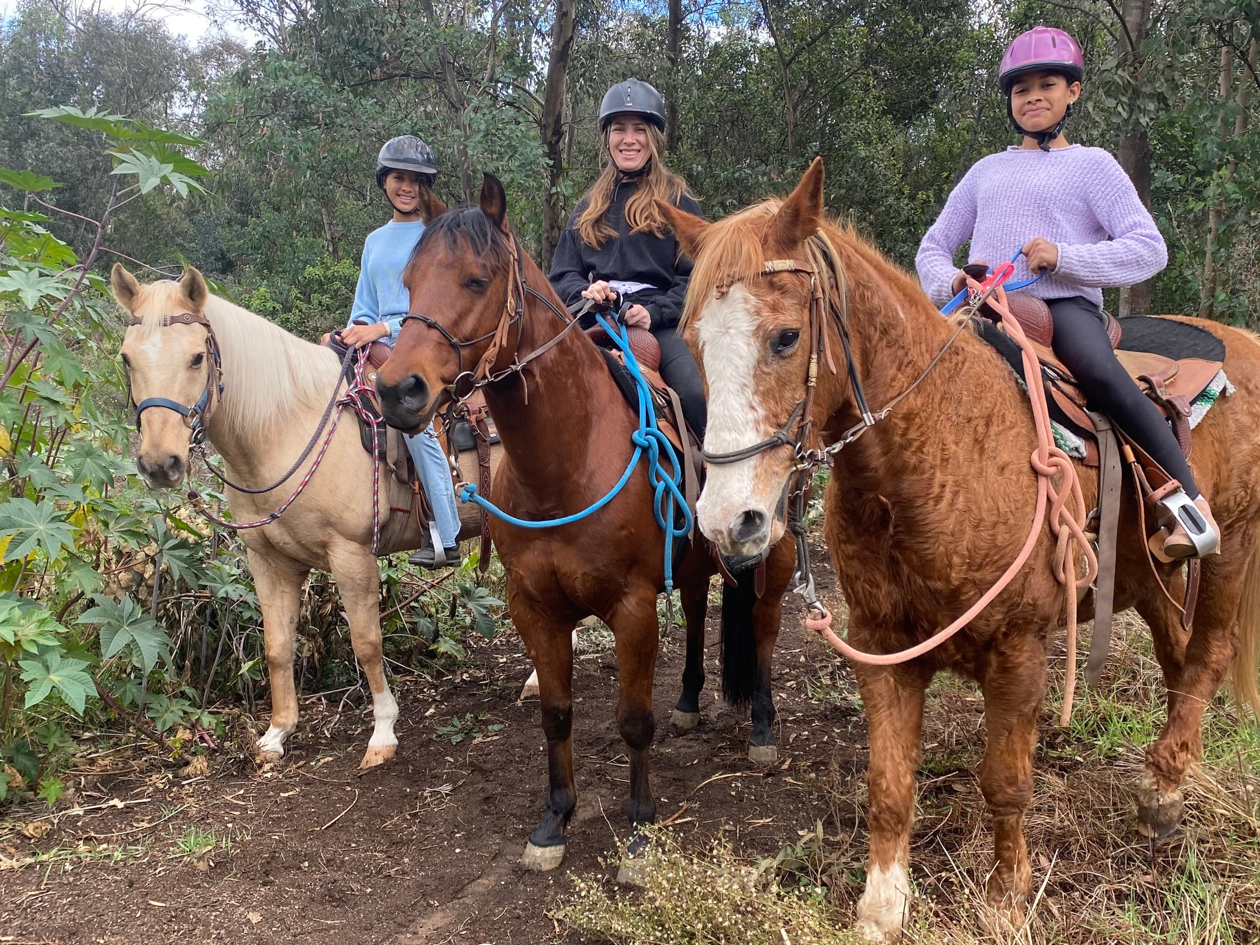 Trail Rides