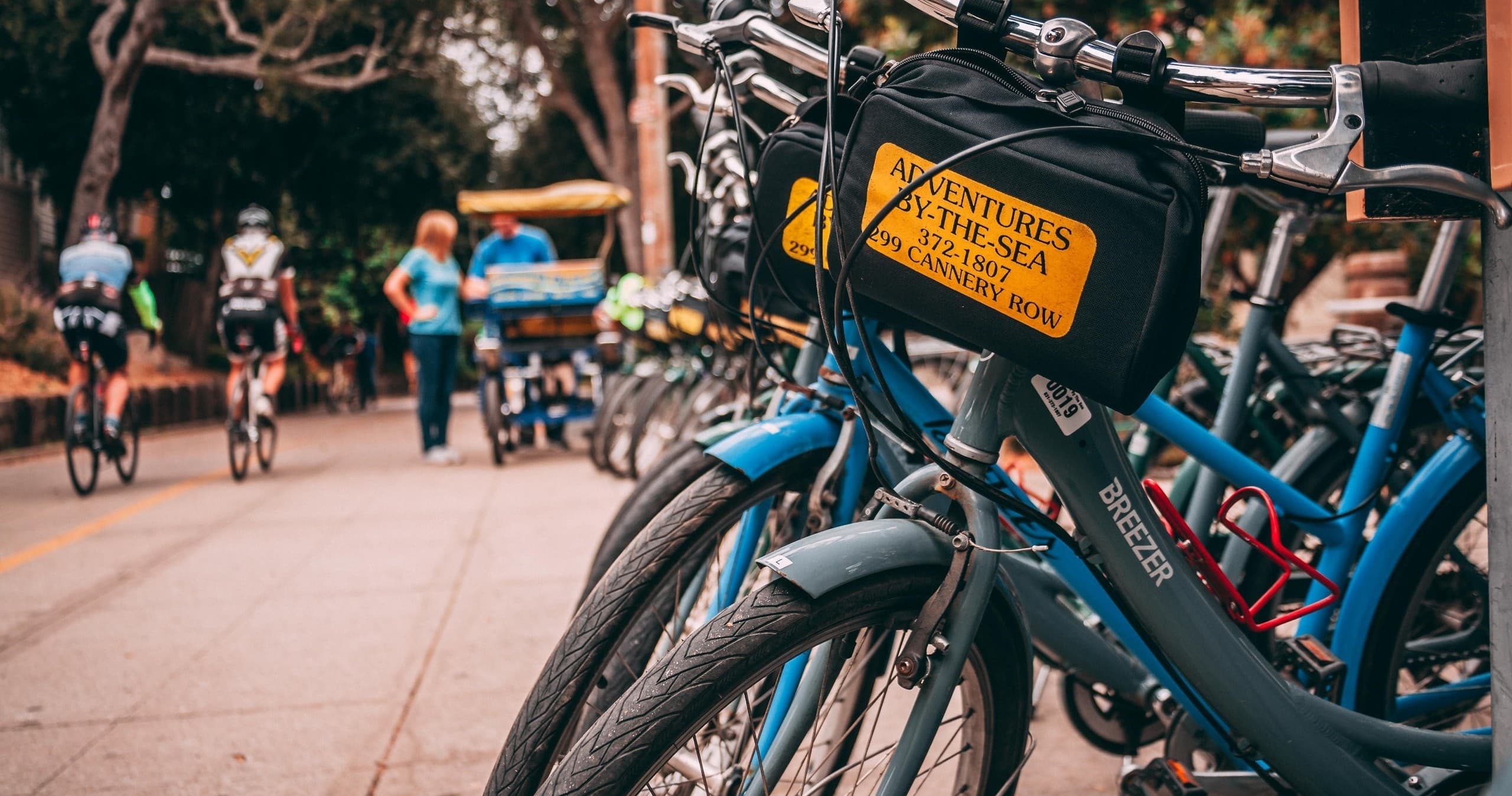 Traditional Bicycle Rental